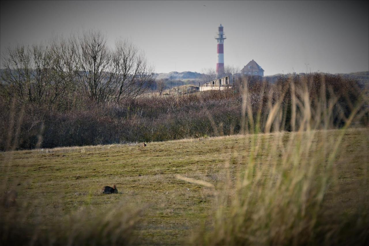 Seadream - Modern, Sunny With Big Terraces & Open View - Very Close To Sea, Beach, Shops, Restaurants & Beach Bars Nieuwpoort Eksteriør billede